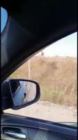 16731168641180.mp4