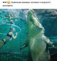 20230111205229.png