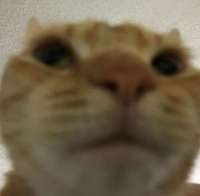6wBtSGsaH8.jpg
