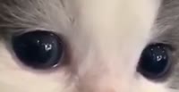 16514302011330.mp4