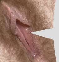 -.JPG