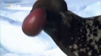 16740585919070.mp4