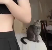 bandicam 2023-07-15 06-21-32-563.mp4