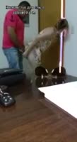 678240783038.mp4