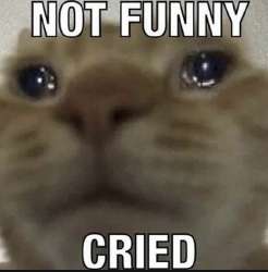 IMG5233.jpeg