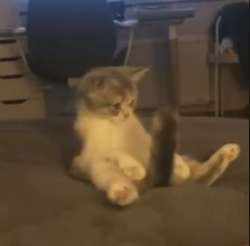 IMG5235.jpeg
