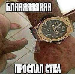 IMG5236.jpeg