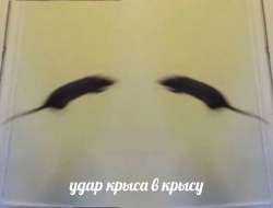 IMG1587.png