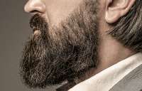 beard-is-his-style-bearded-man-close-up-perfect-beard-close-up-young-bearded-man-close-up-handsome-beard-hipster-elegant-male293990-1554.jpg