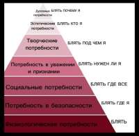 17360724869311.jpg