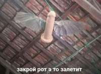 16591434903070.jpg