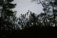 IMG6983.jpg