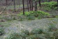 IMG6941.jpg