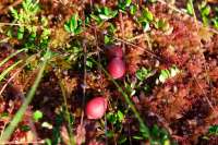 DSCF3788.jpg