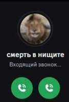17562876259970.jpg