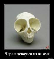 1556508511Cherep-devochki-iz-ademotions.ru.jpg