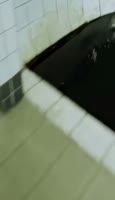 загруженное (2).mp4