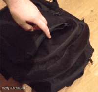 cat-in-bag.gif