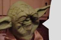 yoba.jpg