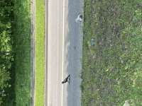 IMG4139.jpeg
