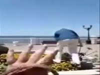 Одуванчик Сатаны.webm