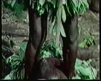 Обнажённая магия (1975) 2.mp4
