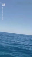 17400938968140.mp4