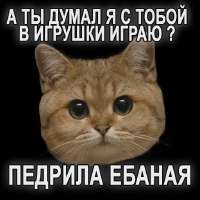 6.webp