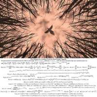 17507647223456291817628337596275.jpg