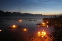 venok.webm