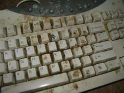 IMG2089.jpeg