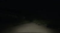 Sighting.webm