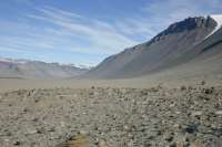 IMG1761.webp