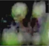 wr-7503456.webp