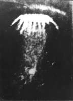 Neopoznannyj-obekt-v-petrozavodske-v-1977-godu.jpg
