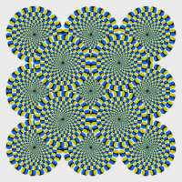 9a2488a9f3f4a98fa020a261cc553fddcropped510x510.webp