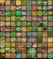 cropcircles.jpg