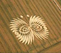 crop-circles22.jpg