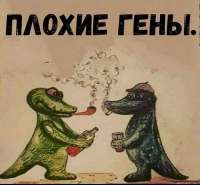 4ca0b241afc8889a00b72871f3ce990a.jpg