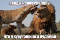 IMG20250527200148816.jpg