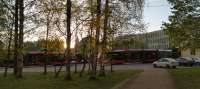 IMG20250519205526.jpg