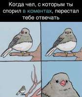 IMG20250325160851525.jpg