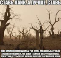 p7OCdGRkq3JUpe4V301jKk0Pb0oqE-wSVuVGvWvUyFwQZe4wMNTq6vQqV5Q6M9EYFAR4CU2lLPjdvJNEaw30Ai.jpg