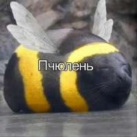 IMG20250530230334840.jpg