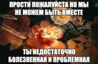 IMG20250531110857987.jpg