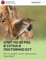 IMG20250515123606185.jpg