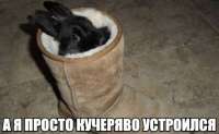IMG20250524012821039.jpg
