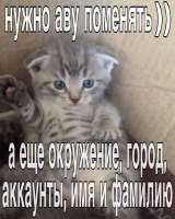 IMG4818.jpeg