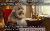 IMG20250523185653059.jpg