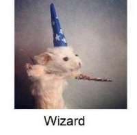 GdgaBKhWwAALoxT.jpg